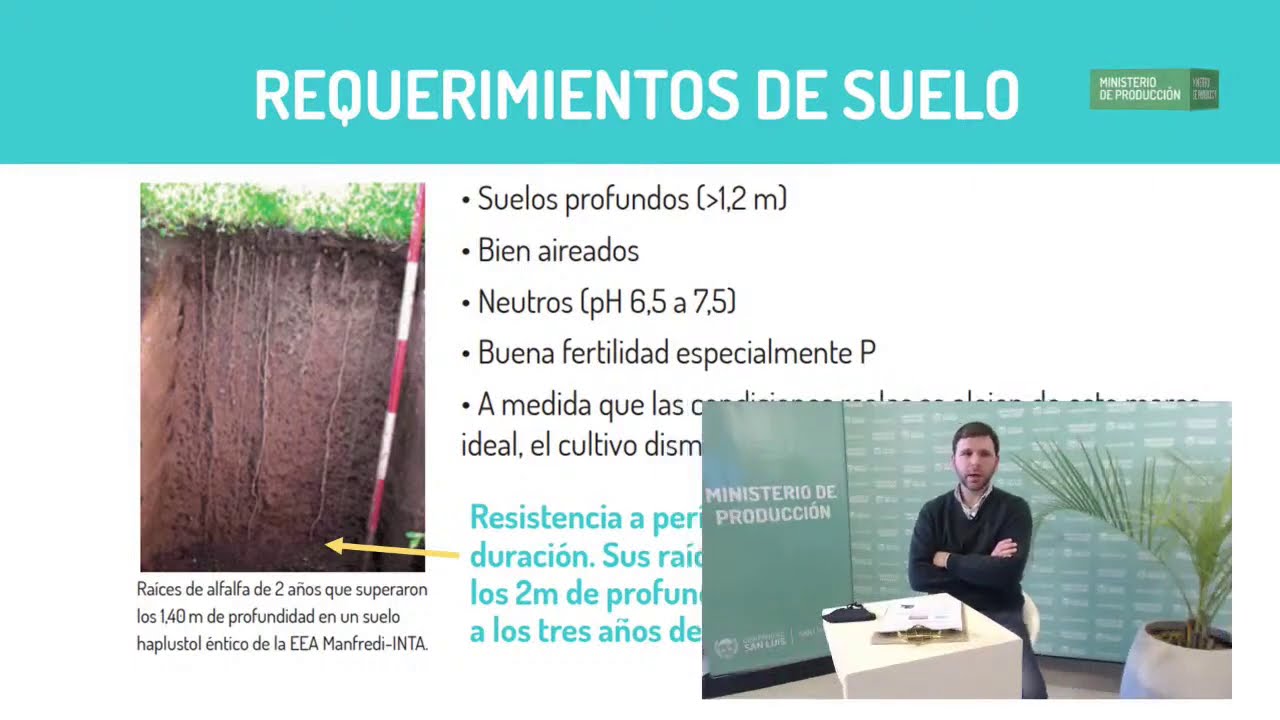 Capacitaciones de Producción Agropecuaria - Capítulo 3 - Cultivo de Alfalfa