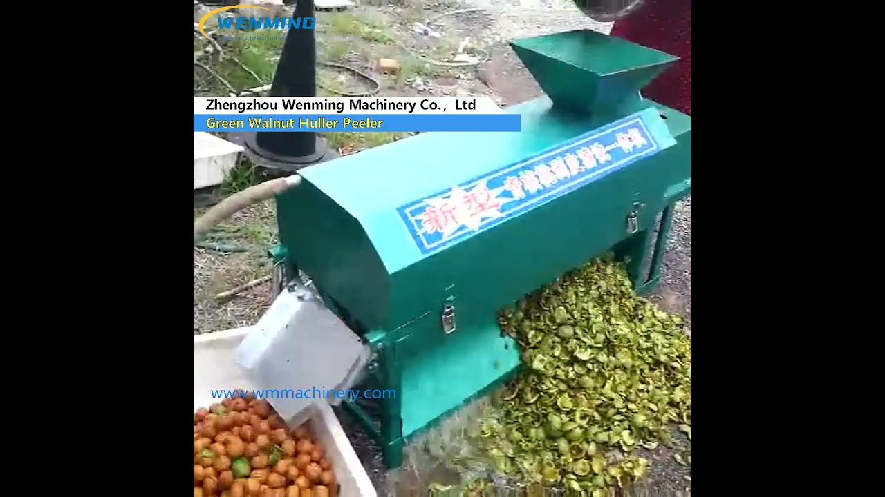 Green Walnut Huller Peeler #Automatic Green Walnut Sheller#Walnut Nuts Peeling Cleaning  Machine