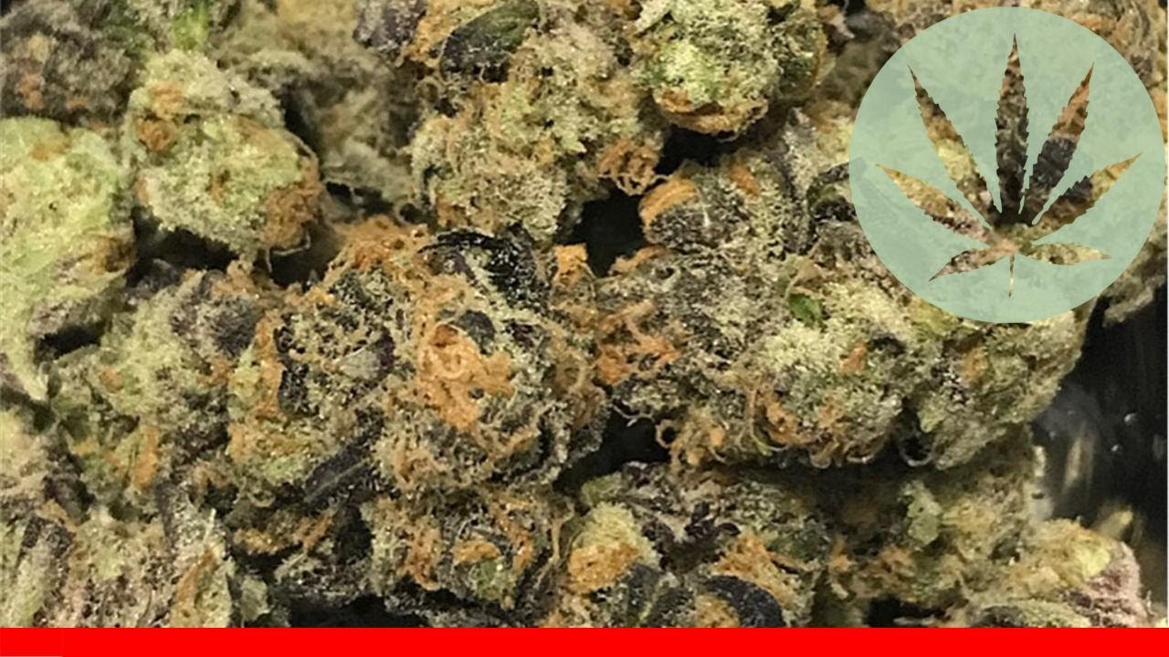 Lucid Dream - All About This Strain