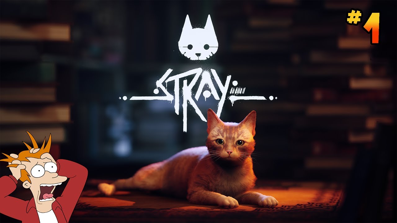 [D&eacute;couverte] STRAY - La Vie Palpitante D'un Chat - Episode #1 [HD/FR]