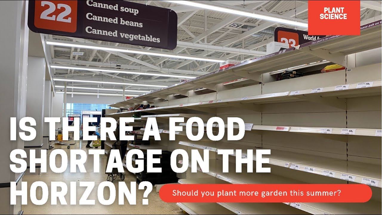 The 2021 Food Shortage Is Coming&hellip; But Why? Is It Fixable & How To Prevent It In The Future.