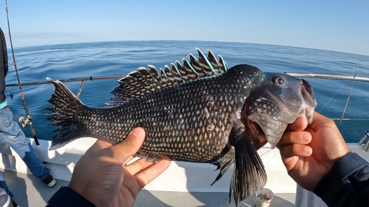 Bottom Fishing in Ocean City, MD for Whatever Bites!