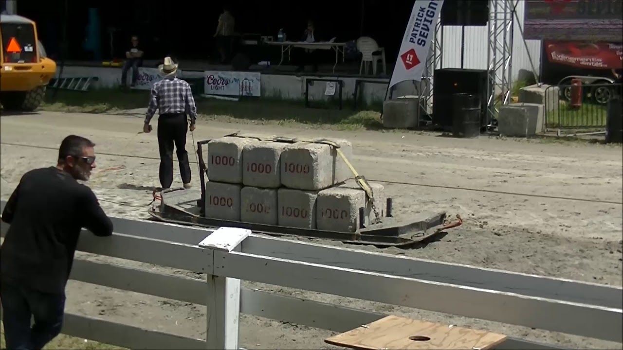 Tire de chevaux Ayer's ClIFF Juin 2019