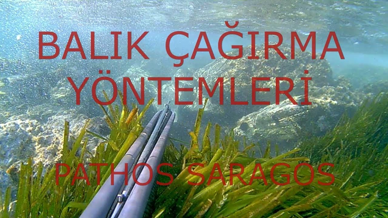 SIĞ SU BALIK ÇAĞIRMA VE ZIPKIN AVLARI ÖRNEK VİDEOLAR