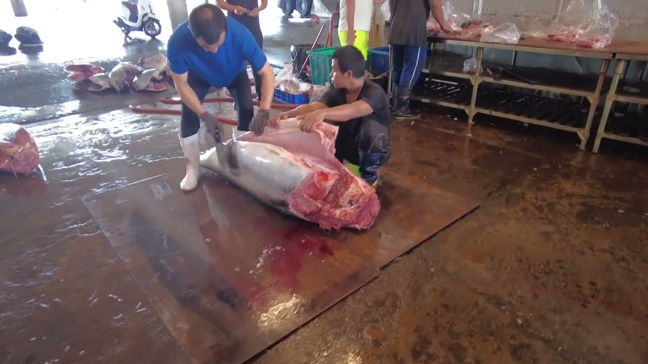Bluefin Tuna Cutting Ceremony