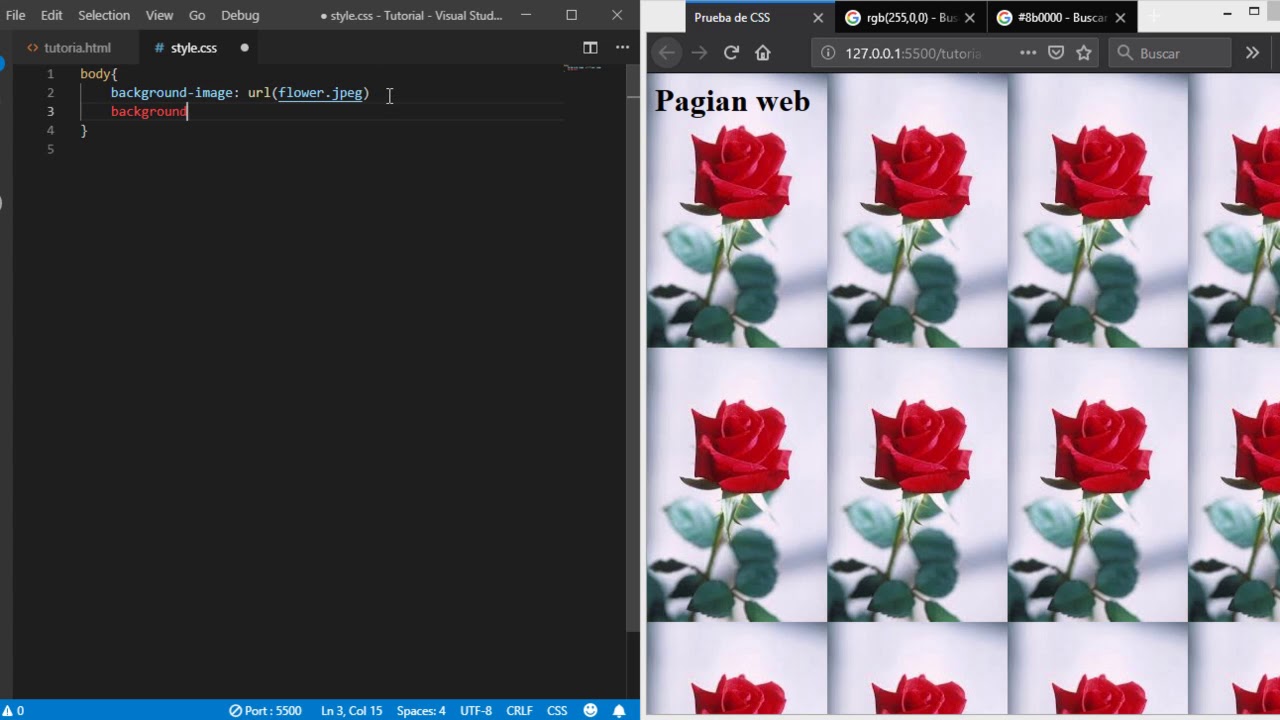 CSS Tutorial   Fondo
