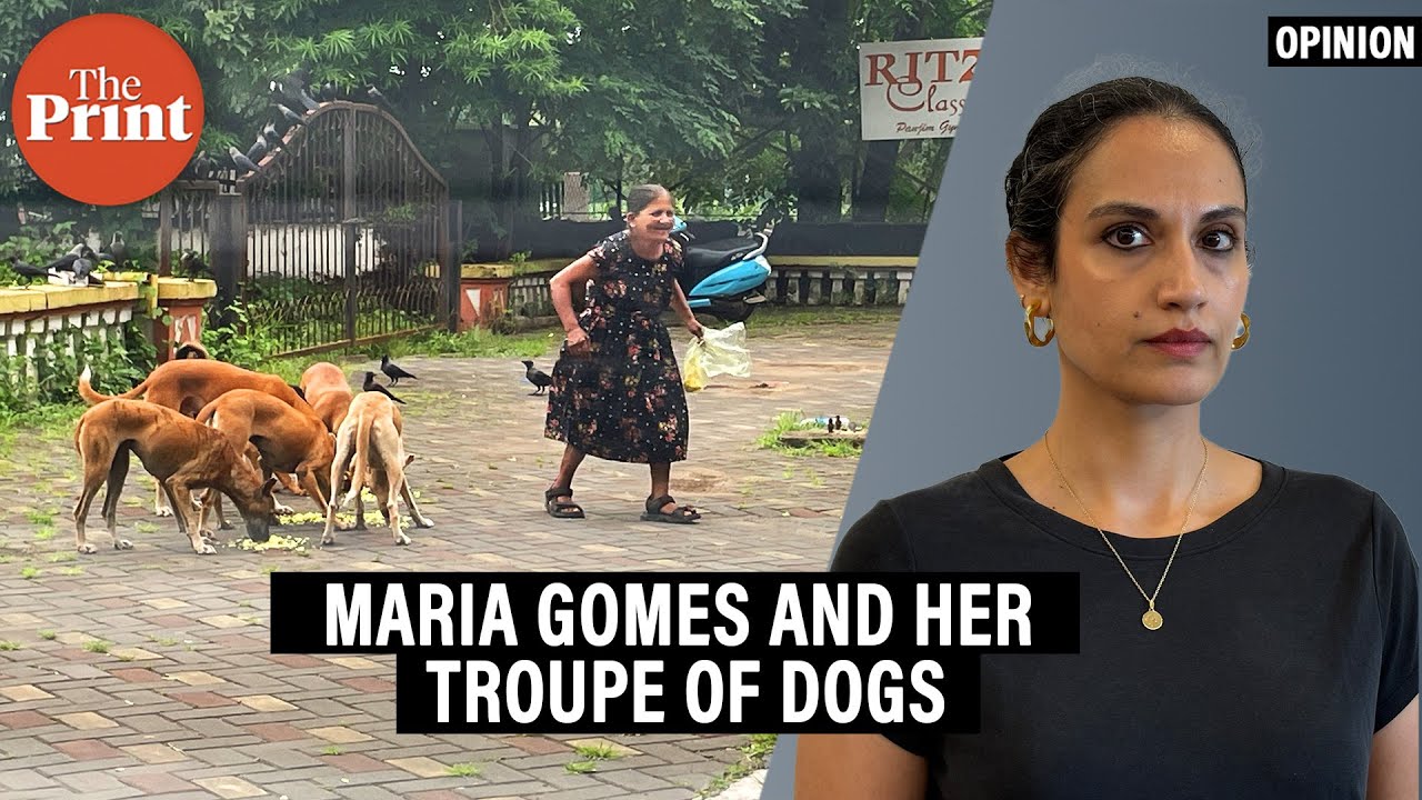 Maria Gomes feeds over 300 stray dogs. She challenges the popular image of a dog lover