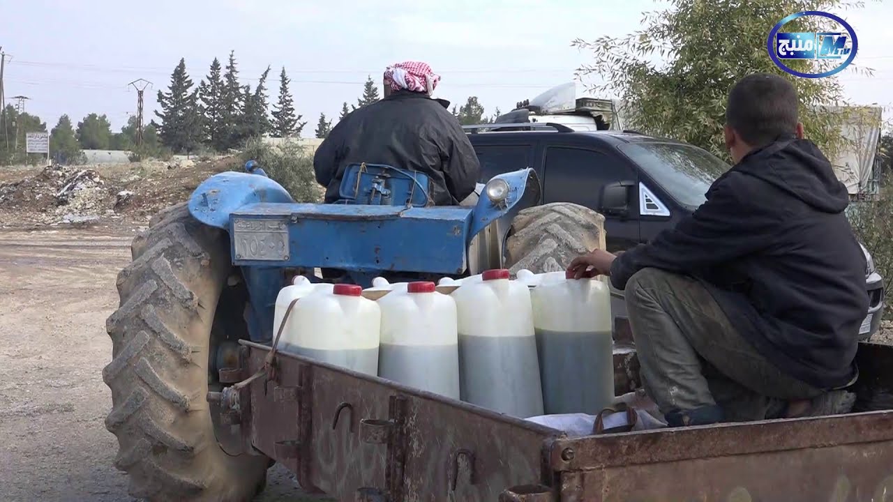 معاصر الزيتون وكميات إنتاجه لهذا العام في مدينة منبج