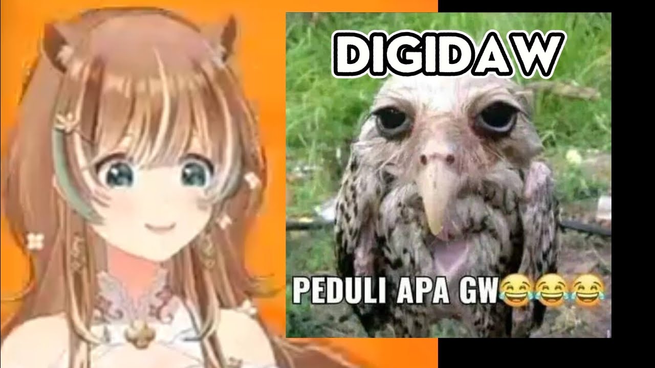 Burung DIGIDAW 【iORisu】
