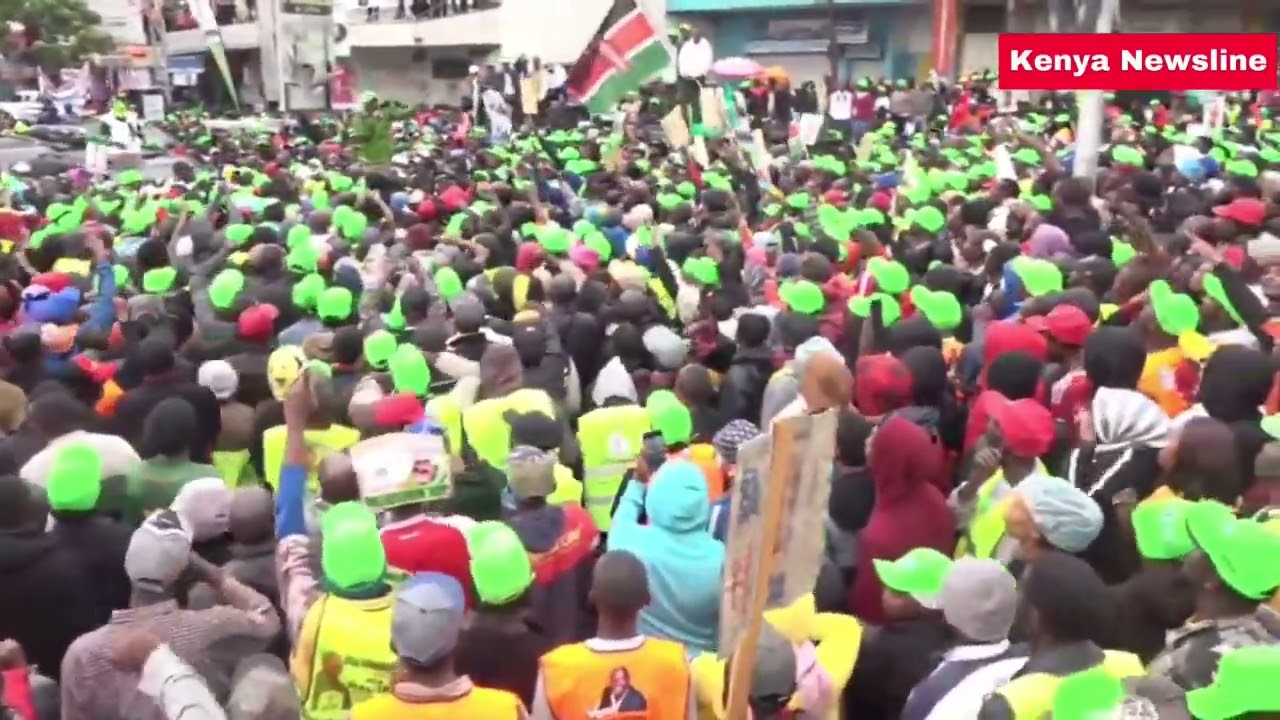 SERIKALI YA MATAPELI, HAMTATUUZIA UOGA HATA MKITUPEA BURE HATUNUNUI.MP Njeri Maina in Nakuru CBD
