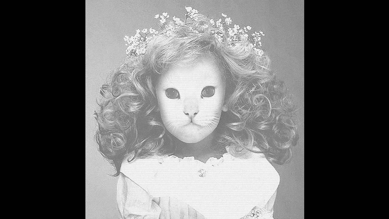 Mr.Kitty - Detach