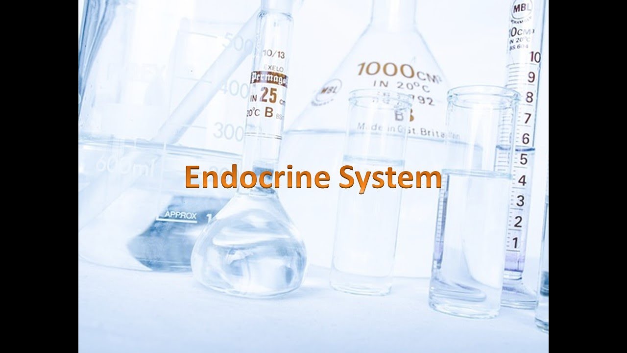 Medical Terminology Pathology of the Endocrine System