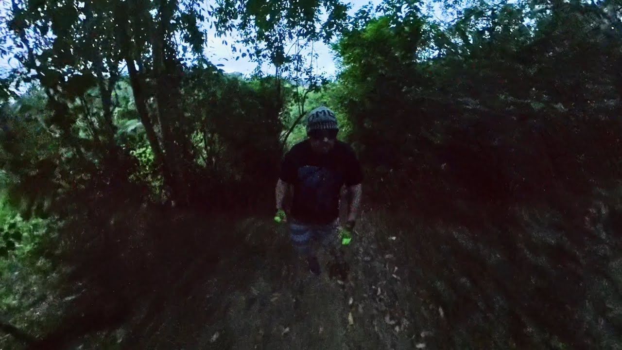 Freeride Farm Walking 10 #freeride #caminhada #natureza 