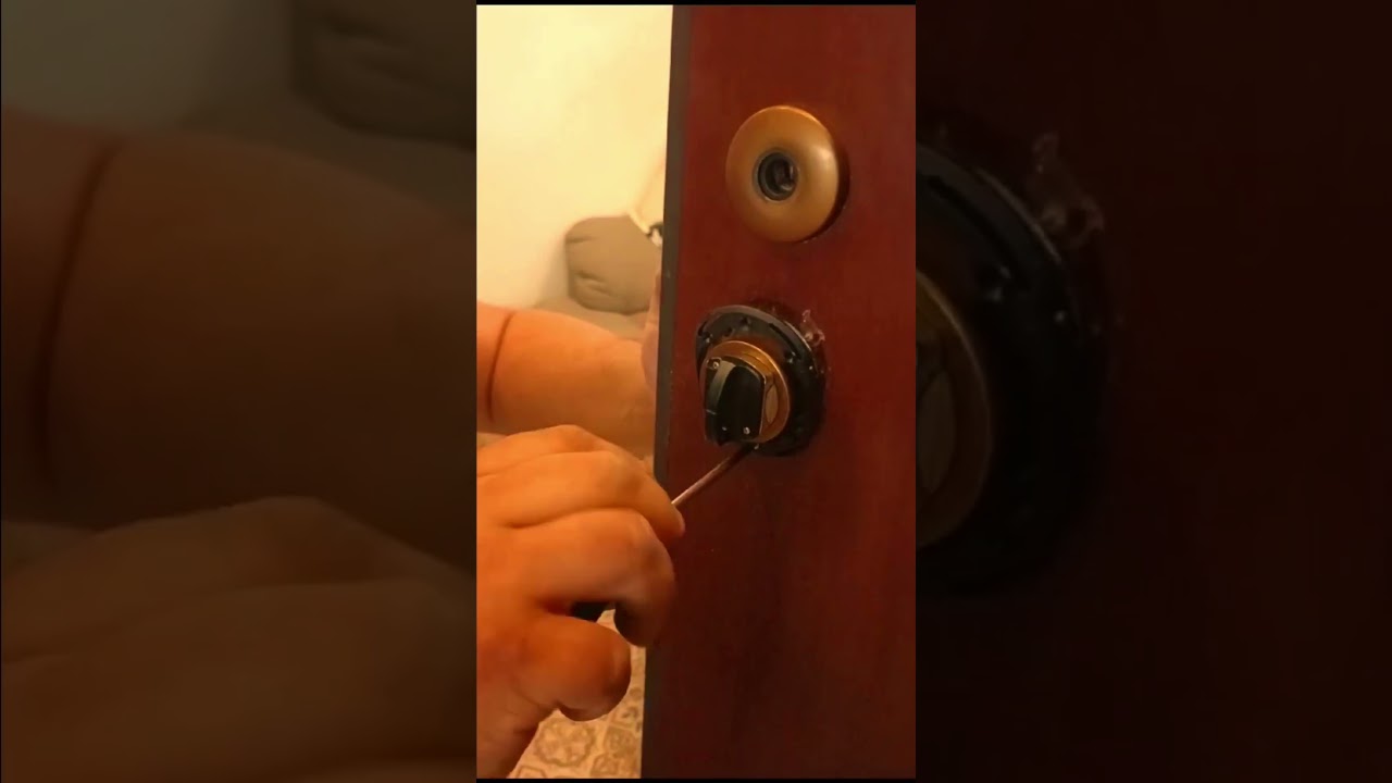 Montaggio Defender Protetto Magnetico Su Porta Blindata