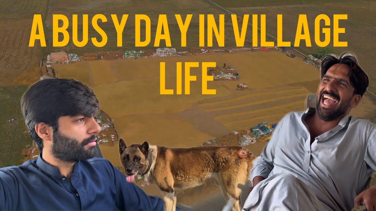 A BUSY DAY IN A VILLAGE LIFE WITH MALHISQUAD