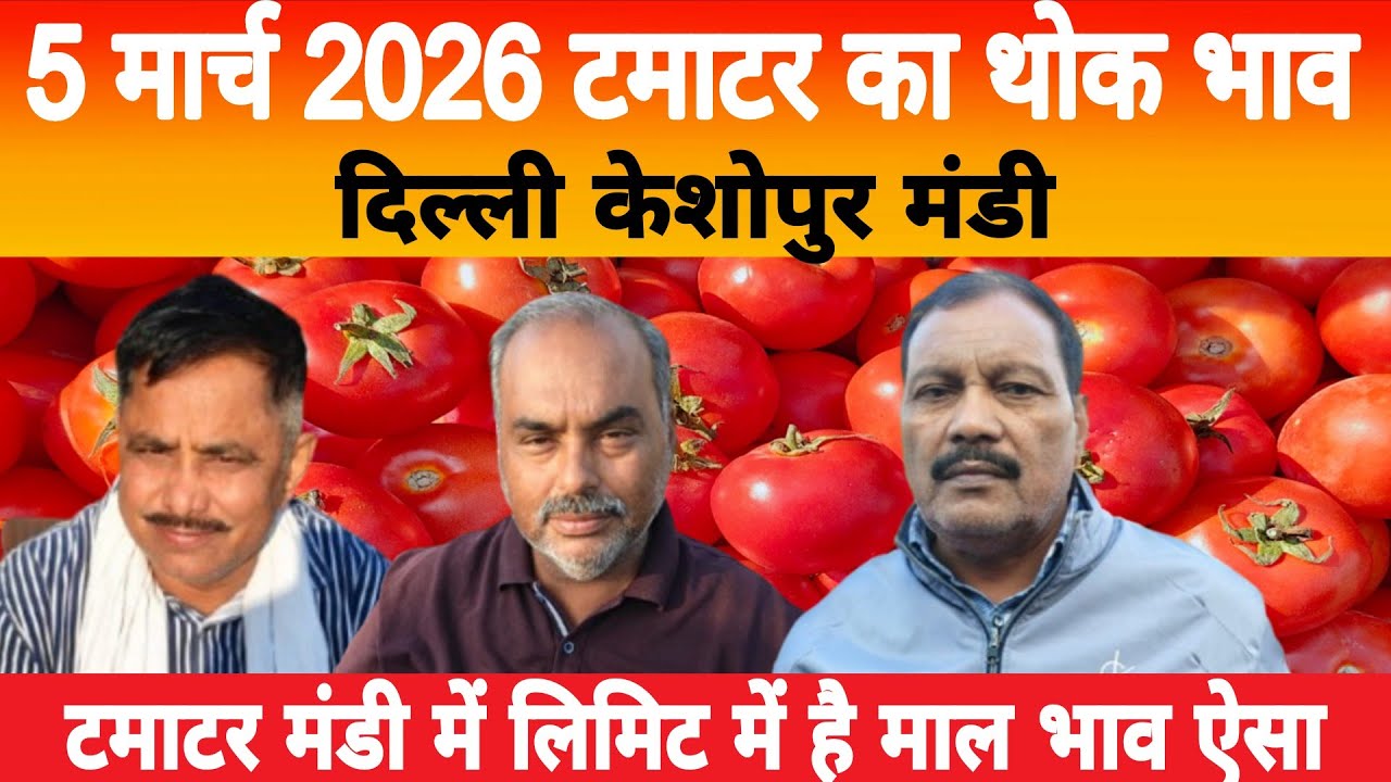 5 March 2026 Delhi 🍅 टमाटर होलसेल भाव | Keshopur Mandi | Today Tomato Rate #tamatar #tamatarmandi