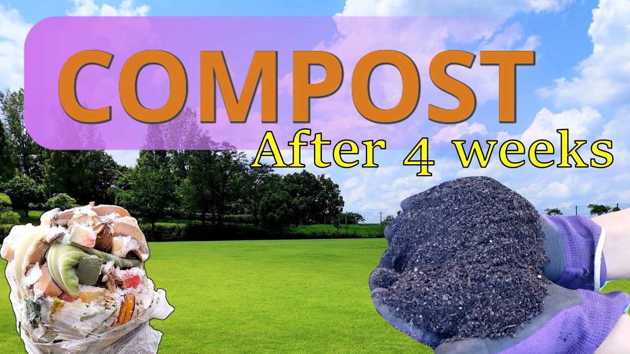 Buried Kitchen Scraps for 4 Weeks – Here’s What Happened