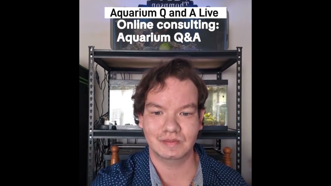 live Aquarium Q and A