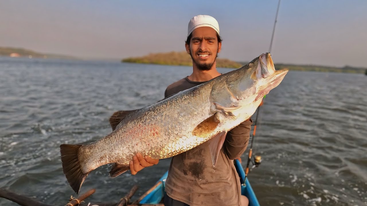 GAINT barramundi on Pushpa 160 lure || पुष्पा 160 ल्यूर पर बढी बारामुंडी पकडे || @bablusolkar
