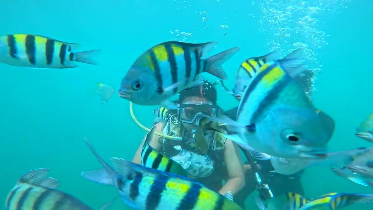 Scuba diving @DevbaugBeach kokan 