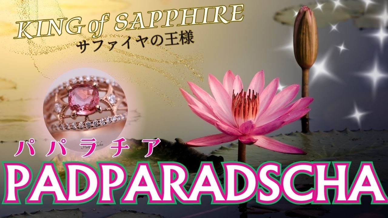 【サファイヤの王様】パパラチア