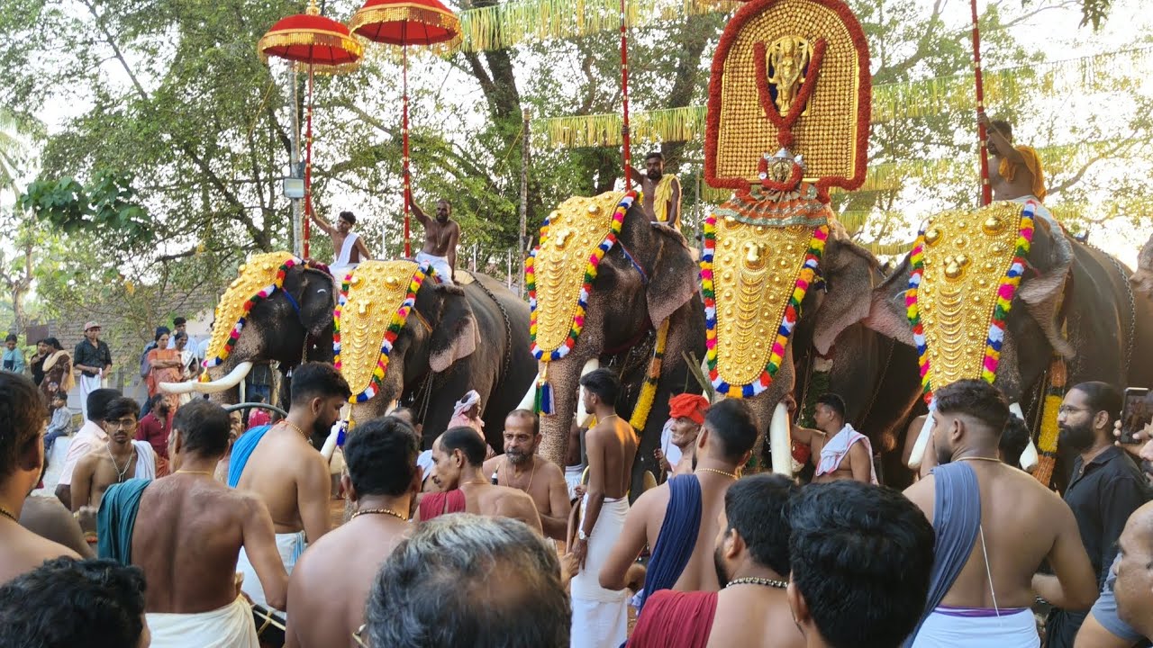 കുട്ടനെല്ലൂർ പൂരം 2026-പൂരം കൊട്ടി വക്കൽ ചടങ്ങ് 