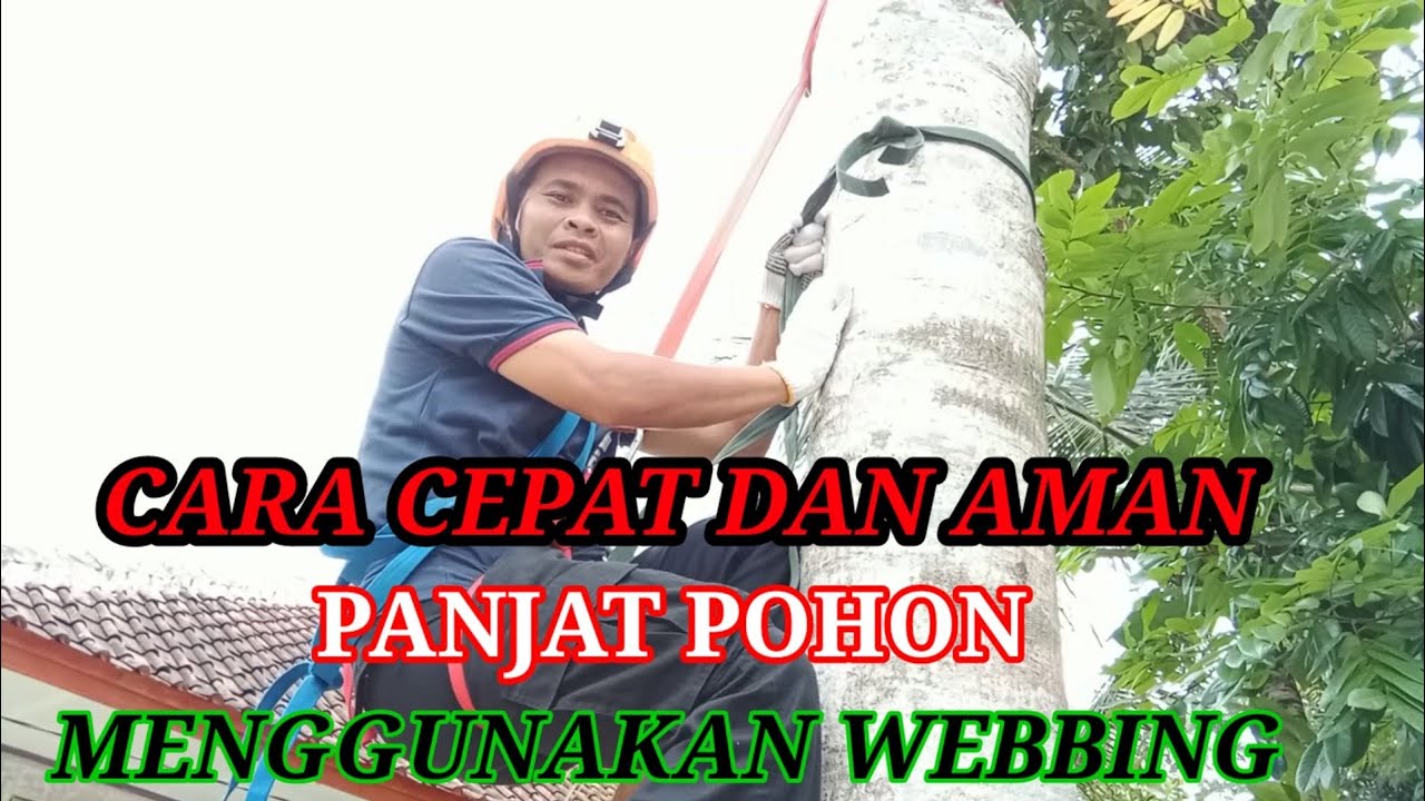 CARA MEMANJAT POHON menggunakan webbing