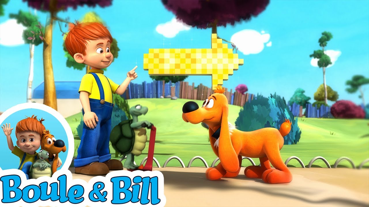 🥳 Boule a organisé une chasse à l'os pour l'anniversaire de Bill 🦴 - Compilation Boule et Bill