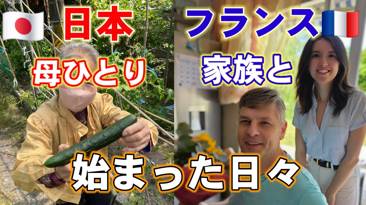🇨🇵涙で戻ったフランス🇯🇵母は日本で独りに、孫が家族を繋ぐ【国際結婚•家族の記録】