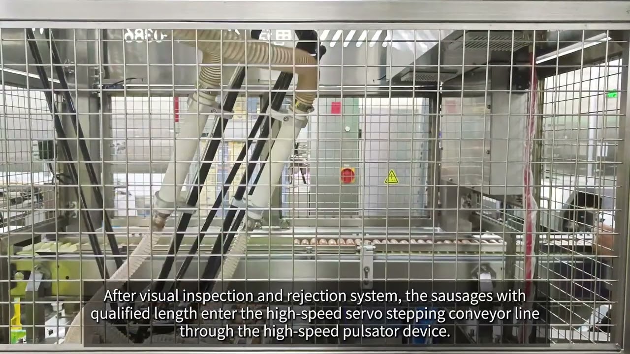Delta Robot Meets Pillow Packing Machine: A Match Made in Sausage Production Heaven