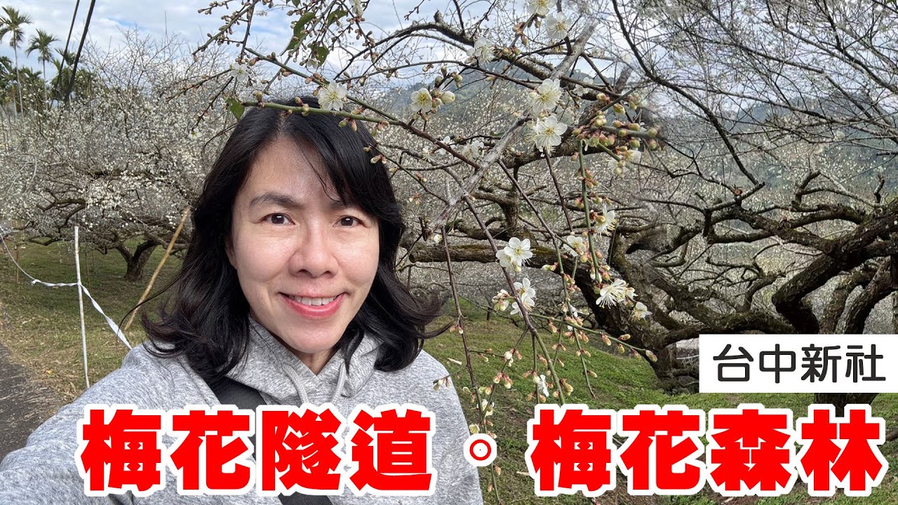 台中新社★梅花隧道＆梅花森林