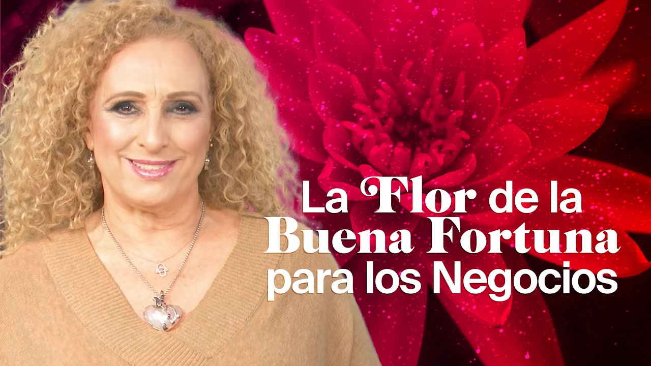 La Flor de la Buena Fortuna para los Negocios. Mizada Mohamed T02E21