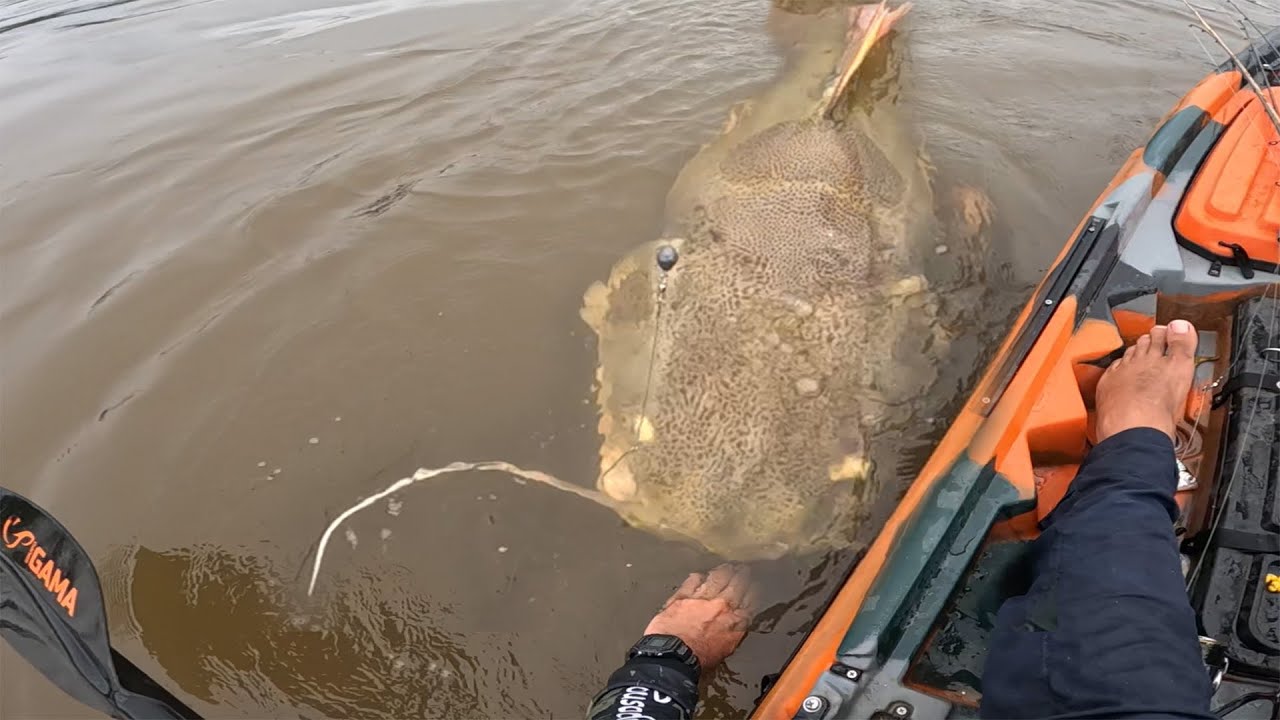 FUI COM A MÃO NA BOCA DO BICHO, MAS ERA MAIOR DO QUE EU PENSAVA! Pescaria.