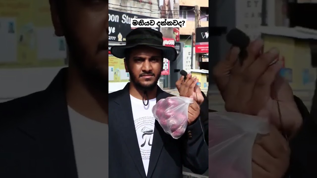 මනියව දන්නවද? #hamilton #bananasbyhamilton #maniya