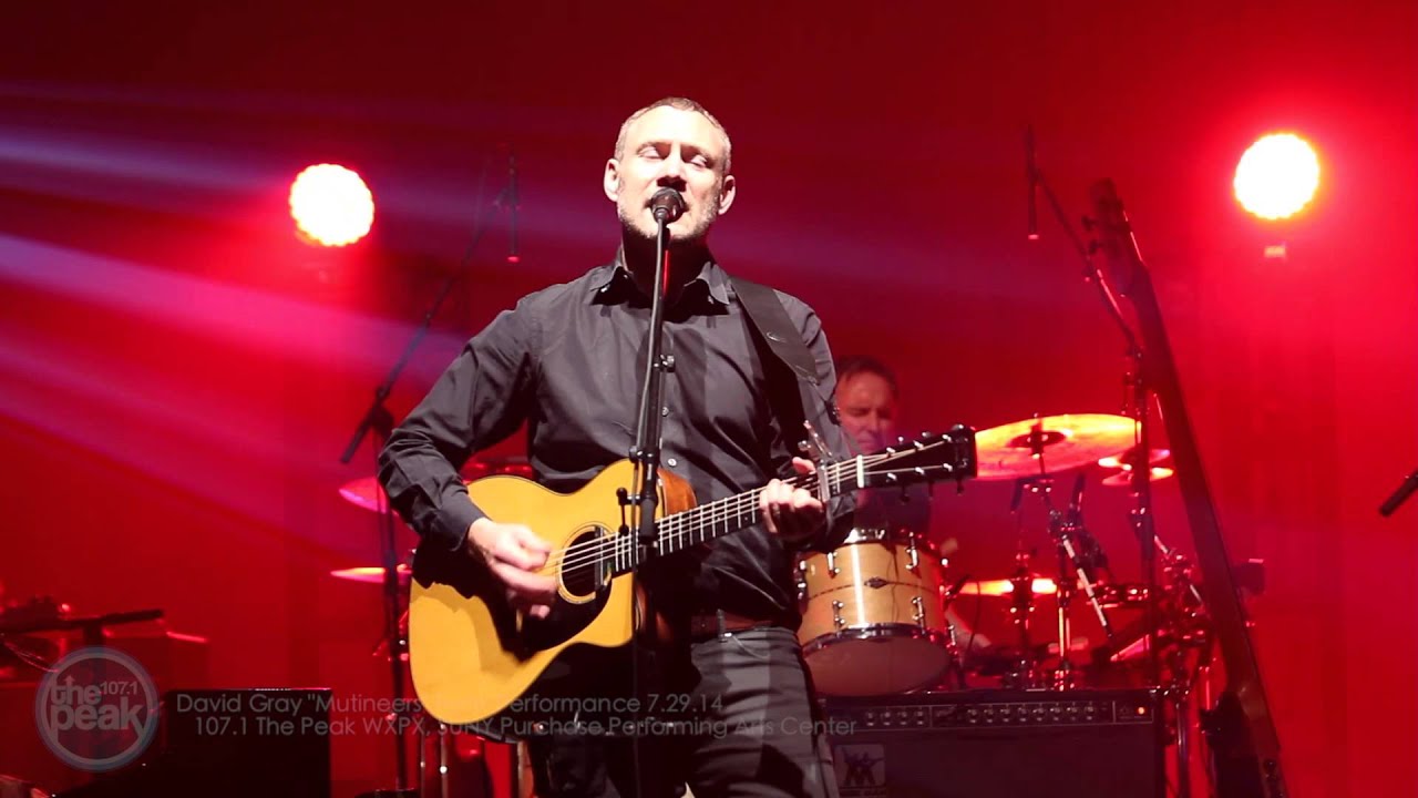 David Gray 