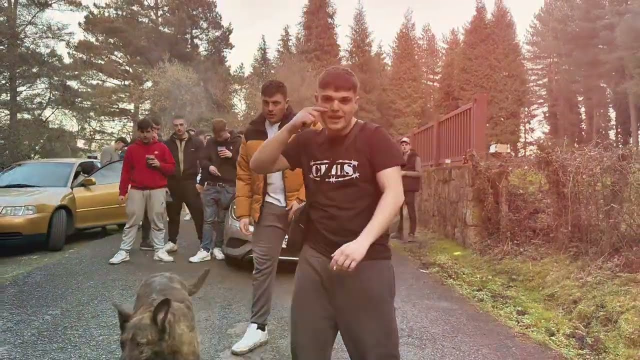 ZUBI x SART- CÉNTRAME