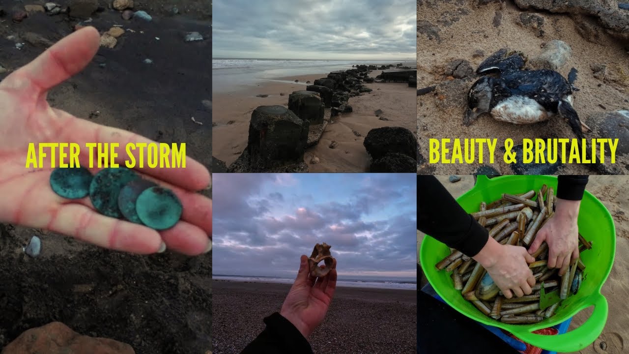 Beachcombing Yorkshire After Storm Chandra | Coins, Sea Glass & Marine Life