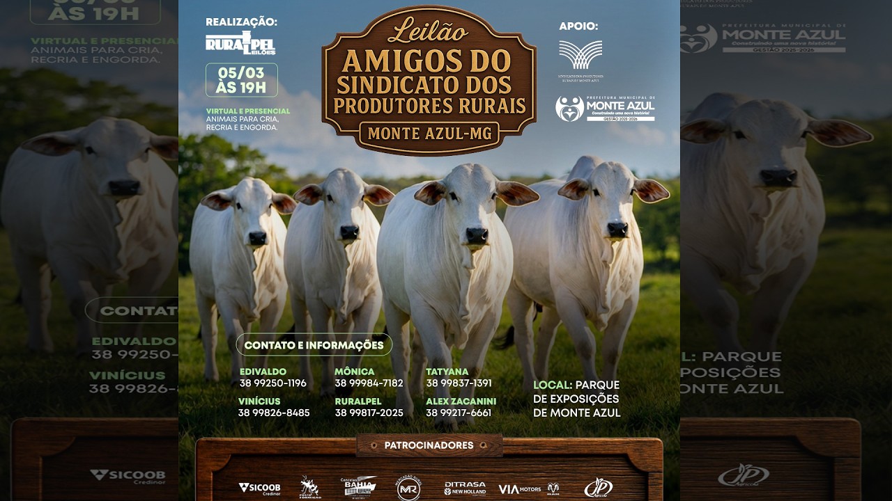 LEILÃO AMIGOS DO SINDICATO DOS PRODUTORES RURAIS DE MONTE AZUL - MG