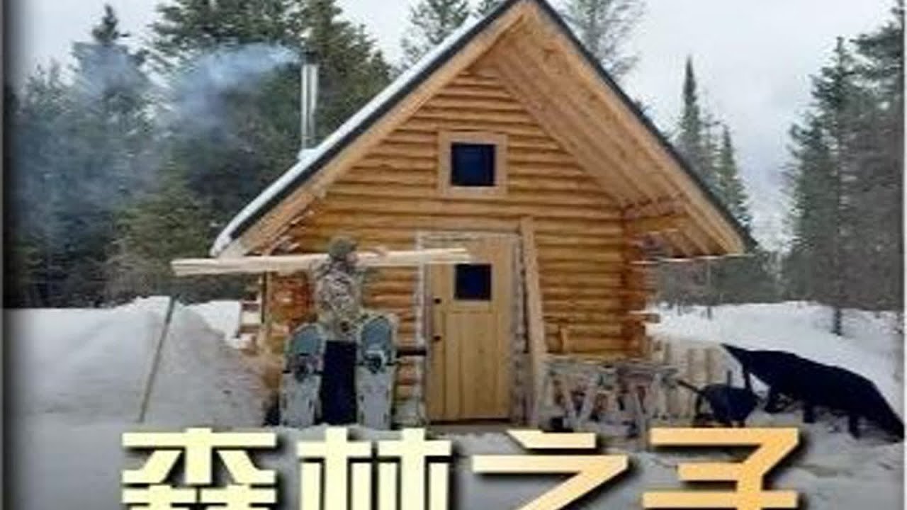 帶你一口氣看完！男人在加拿大荒野中全程獨自建造美麗木屋，挑戰自己和大自然 #野外生存 #荒野建造 #户外生活 #露营 #求生