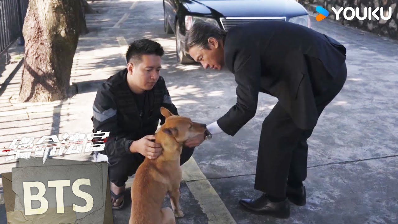 【绝命法官Justice is Mine】花絮： 张家辉的片场驯狗日记 | 张家辉/胡杏儿/曾舜晞/鲍起静 | 剧情 悬疑 | 优酷 YOUKU