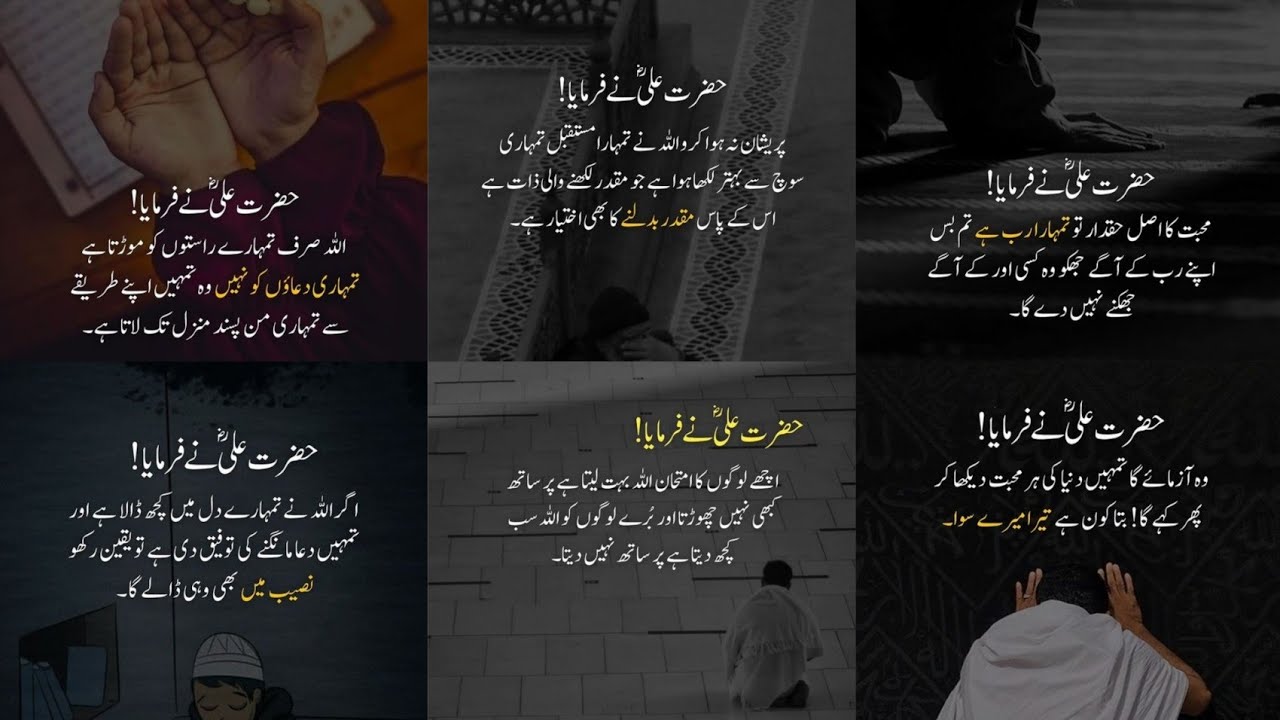 Top 39 Hazrat Ali Quotes in Urdu | Hazrat E Ali Ke Aqwal e Zareen | Part | 13
