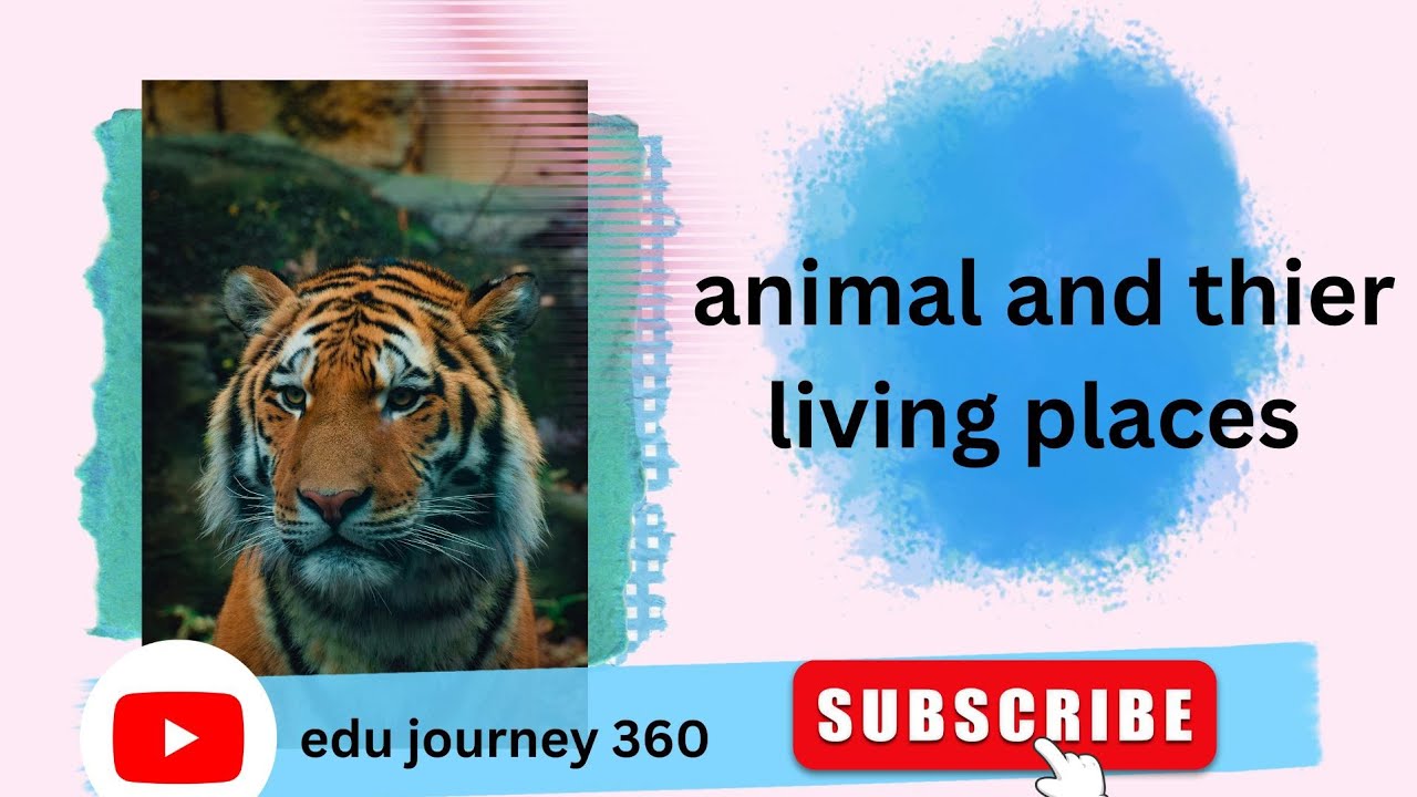 Animals and their living places (habitat) #reasoning #ssc#gd#afcat#defenceexam #railway 