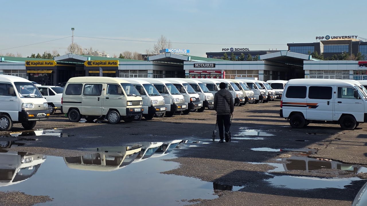 SERGELI AVTO BOZORI 14.02.2026y