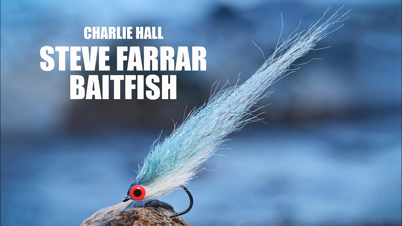 Steve Farrar Baitfish - Charlie Hall