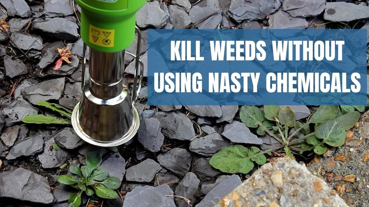 Weed Burner: How to Kill Weeds Without Using Nasty Chemicals