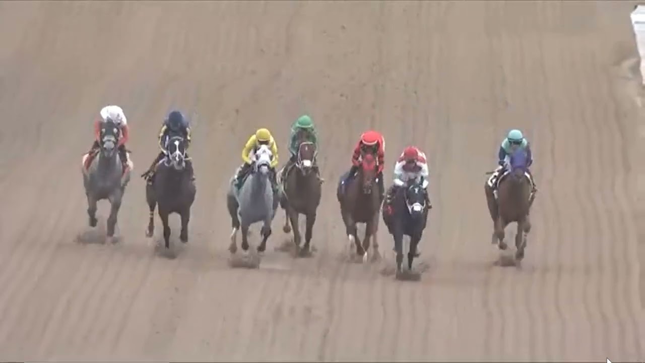 Гонка 3, Галфстрим-парк, США, 31 января 2026 г.