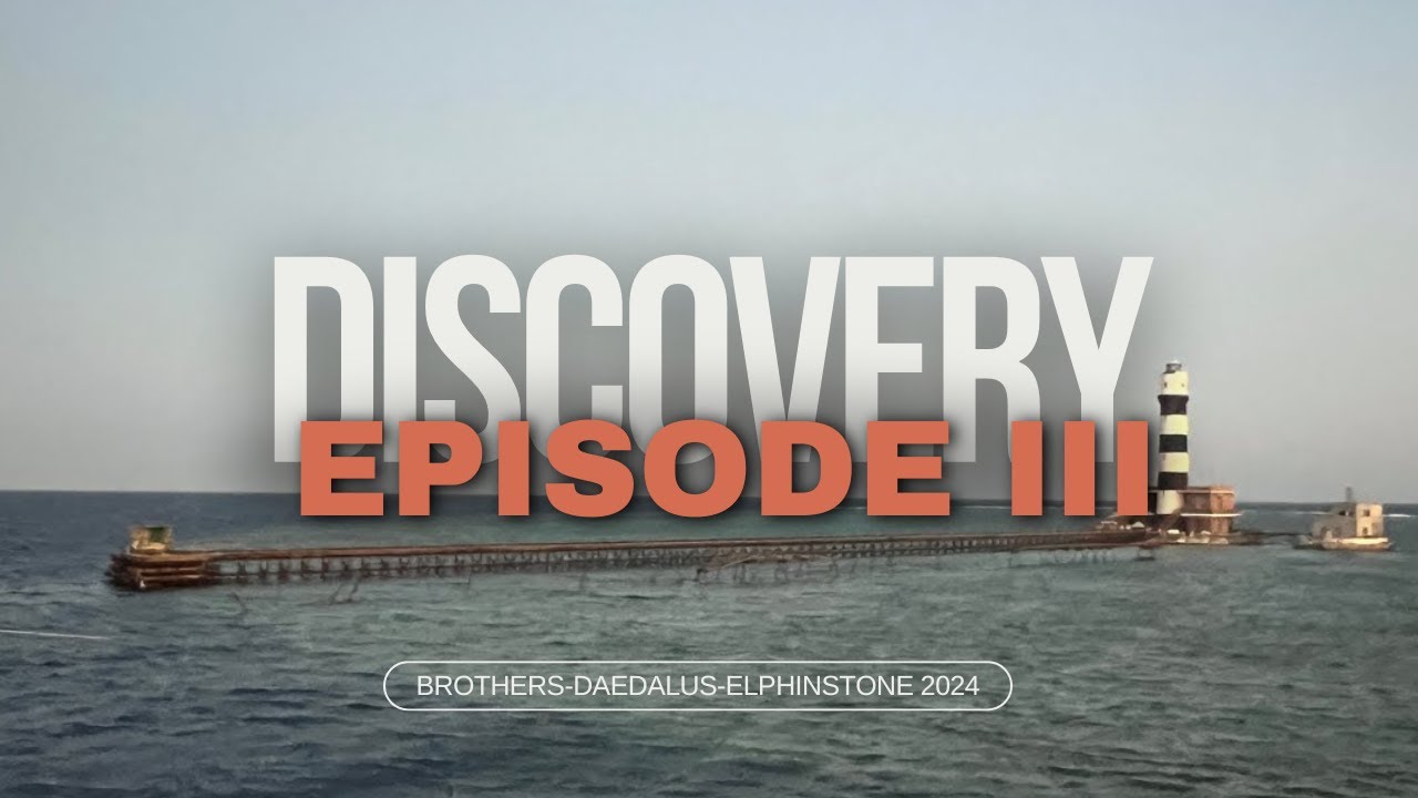 Discovery - Episode III / Daedalus Reef - Teil 01 (Brothers Daedalus Elphinstone 2024)