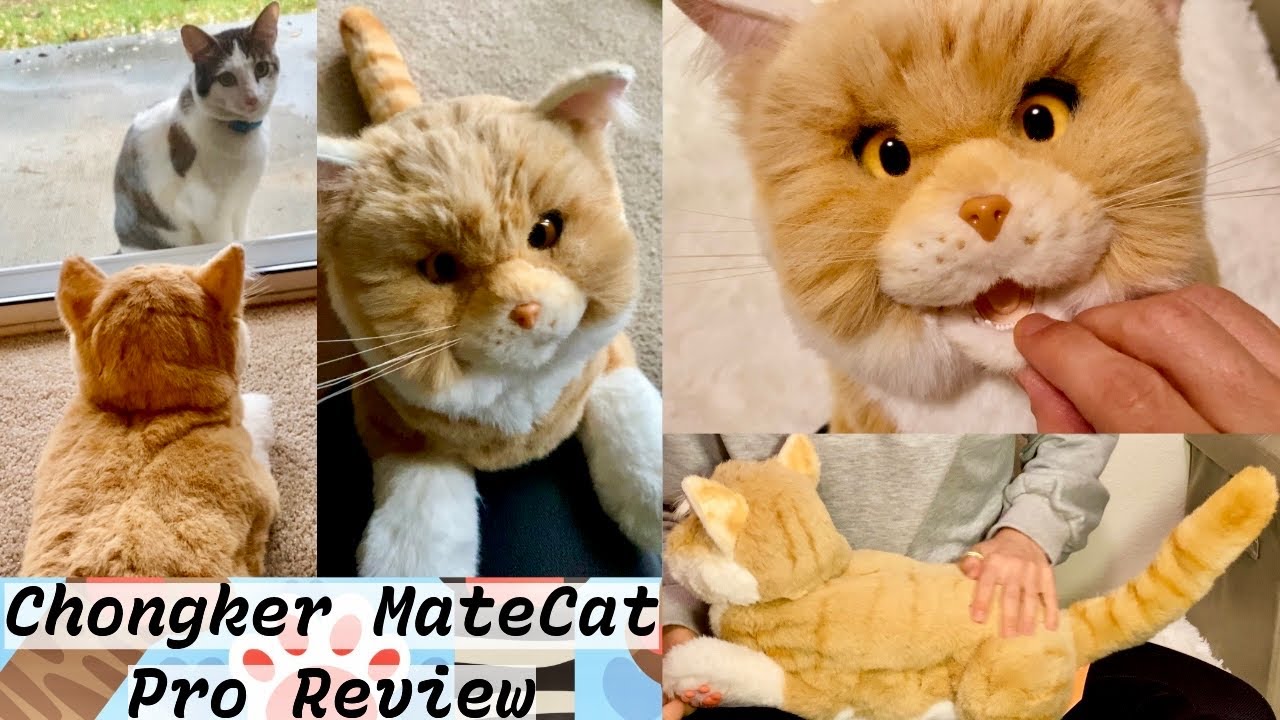 Chongker MateCat Pro Interactive Robot Cat Review