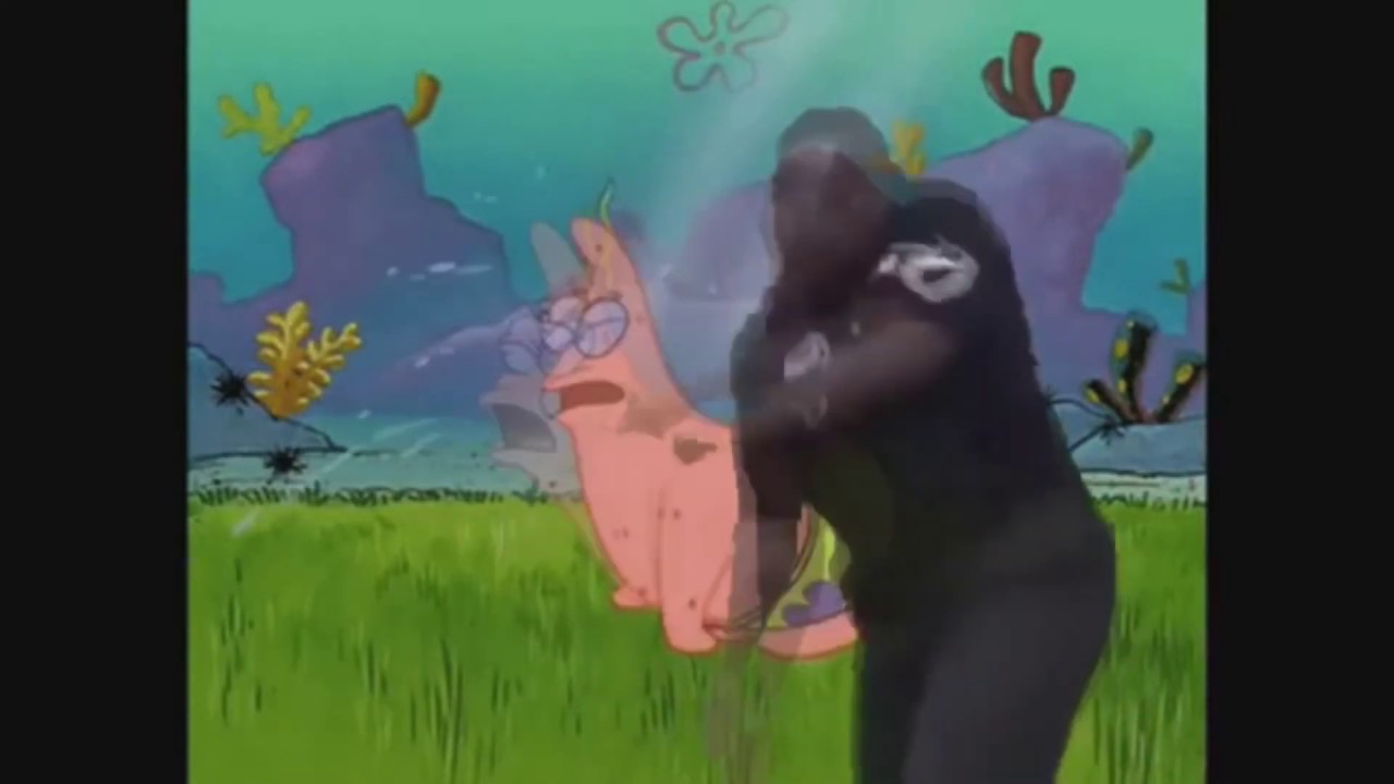 Crystal Dolphin meme