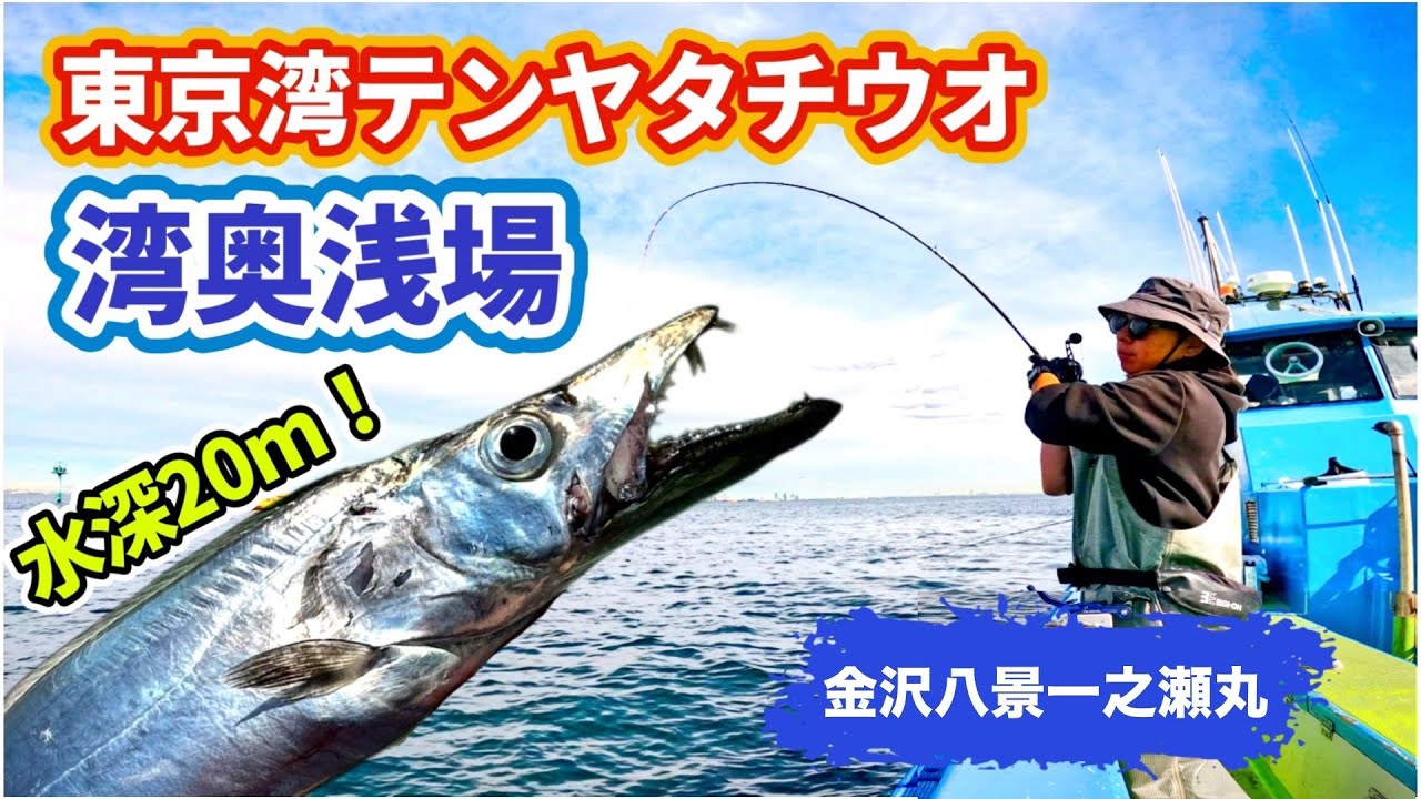 【東京湾テンヤタチウオ】肉厚で激引き！湾奥浅場が楽しすぎる【金沢八景一之瀬丸】